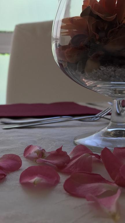 Lady Rose Bed & Breakfast Pisa Exterior foto