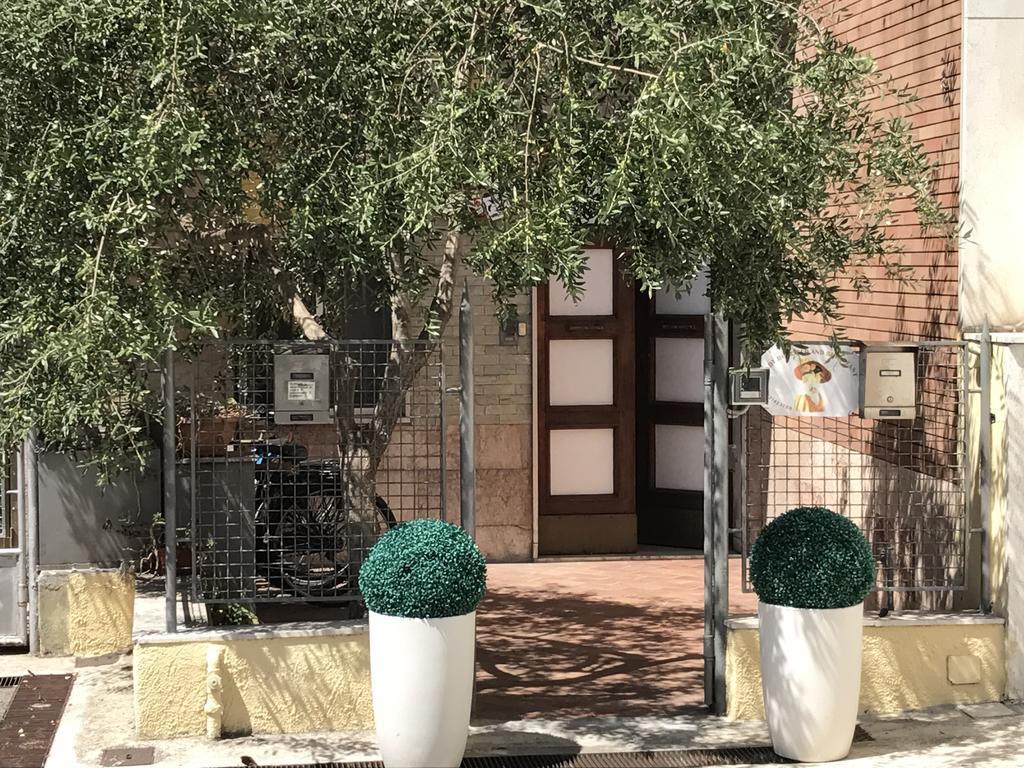Lady Rose Bed & Breakfast Pisa Exterior foto